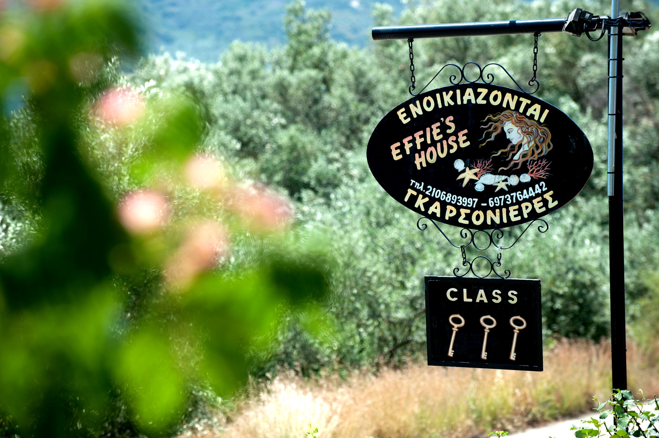 Effies House Aidipsos 37