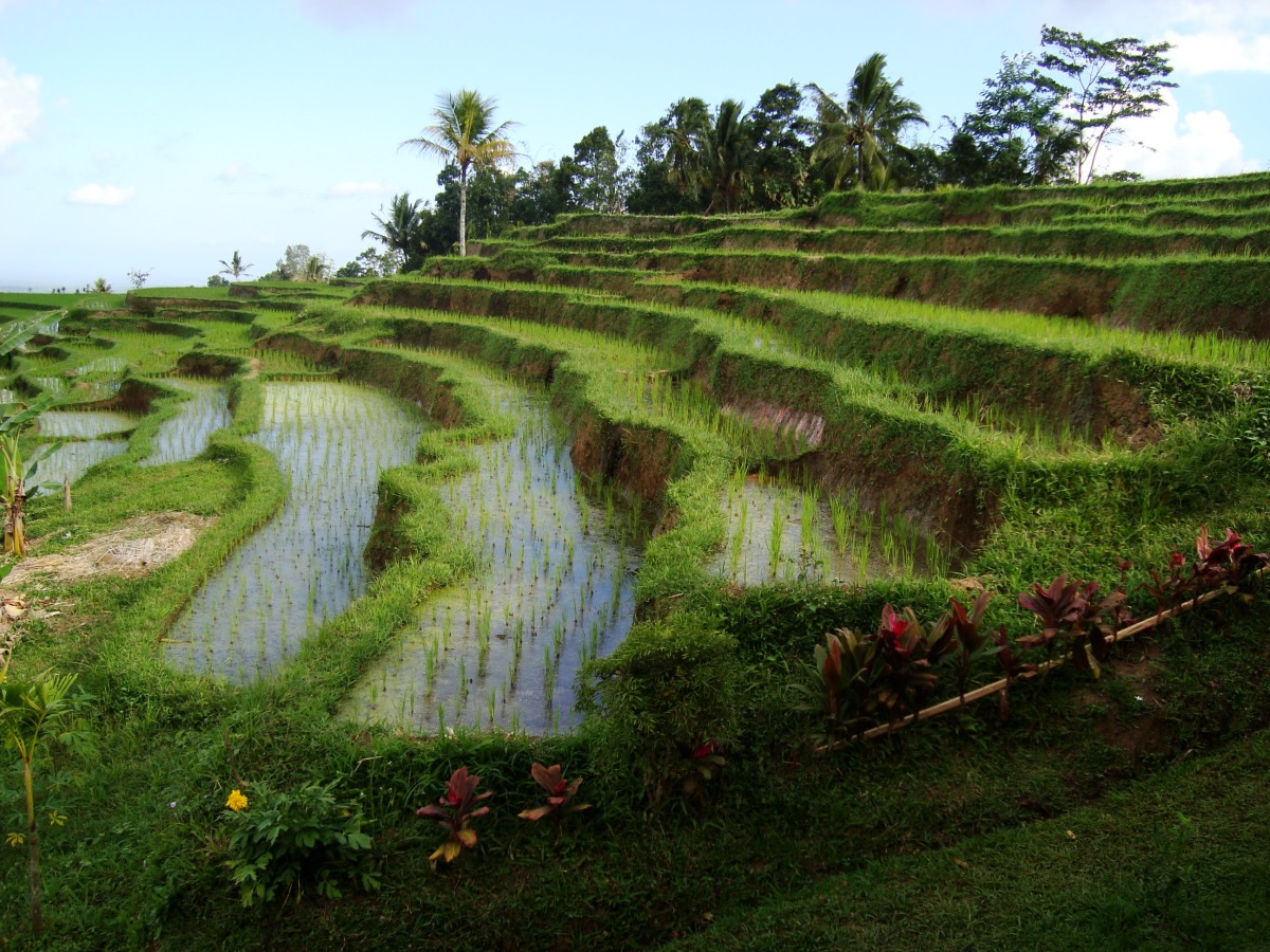 Ekdromi Bali 10