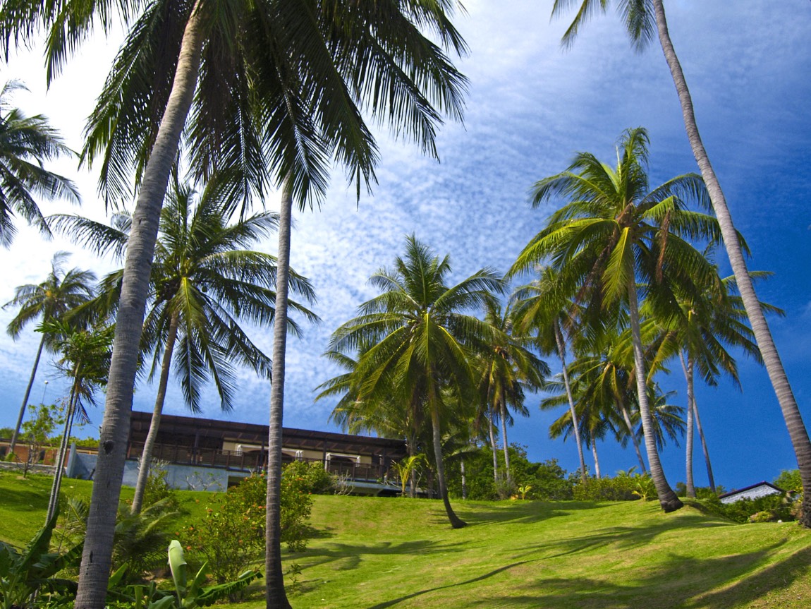 Ekdromi Samui 10