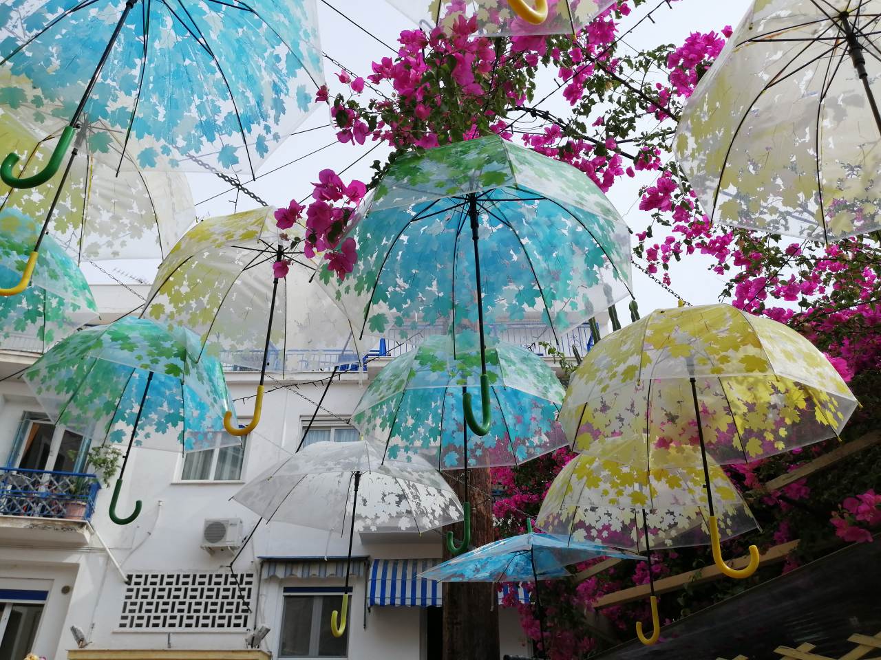 Aigina Island And Saint Nektarios Monastery With Trogadas Travel All Summer From Evia Edipsos Pefki 9