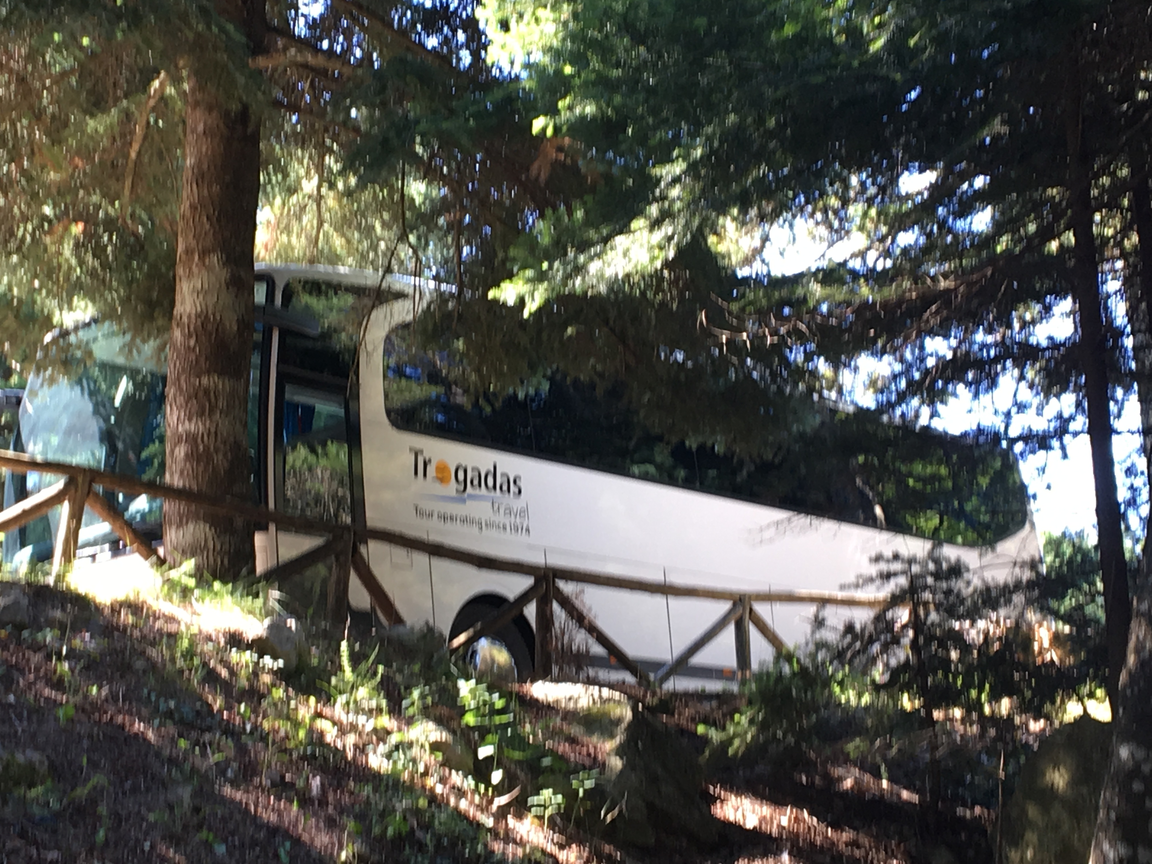 North Evia Drymonas Trogadas Travel 19