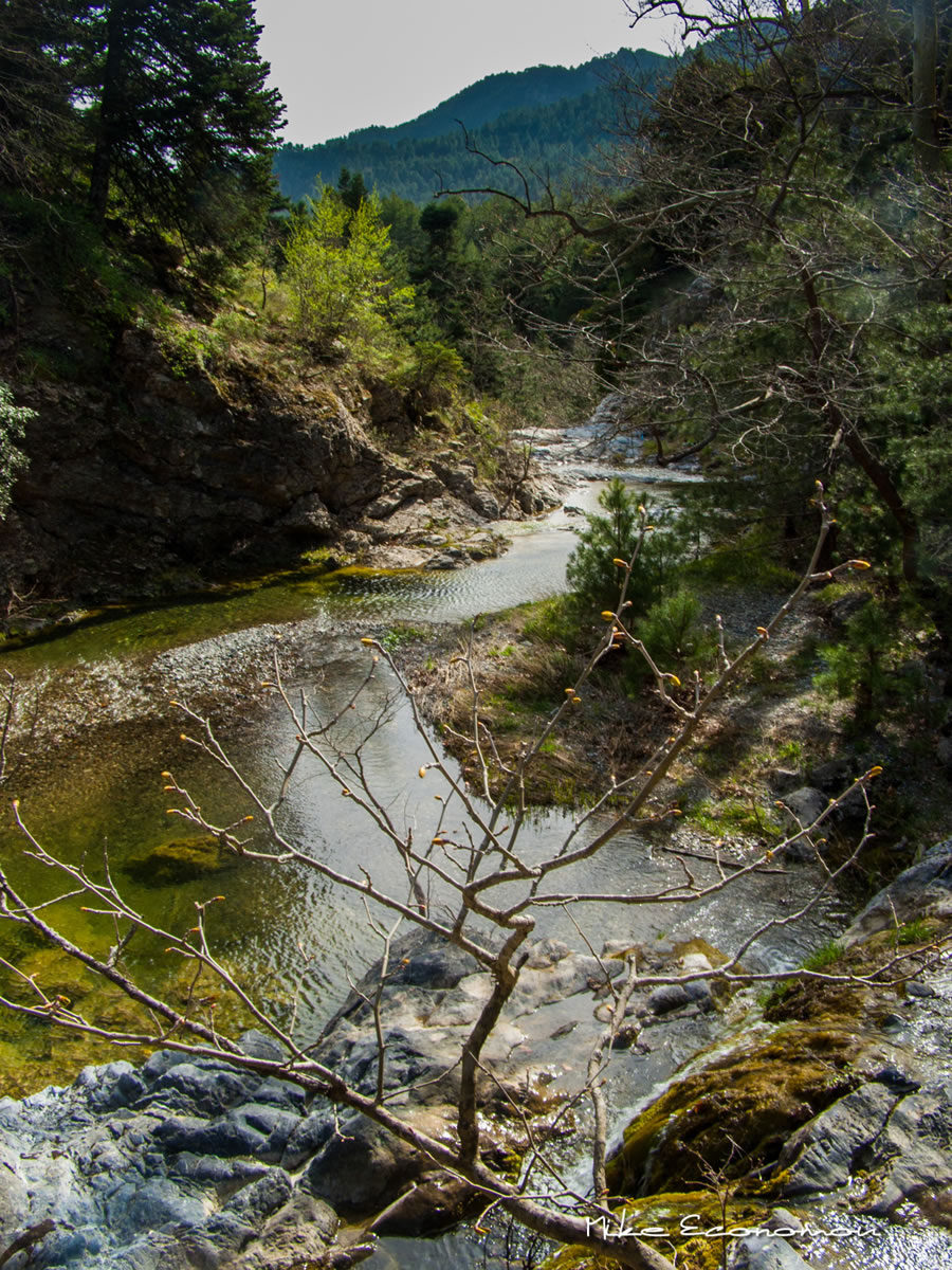 North Evia Drimonas Trogadas Travel 05