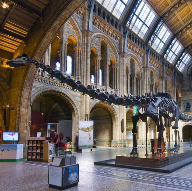 5ήμερη Σχολική Εκδρομή στο Λονδίνο