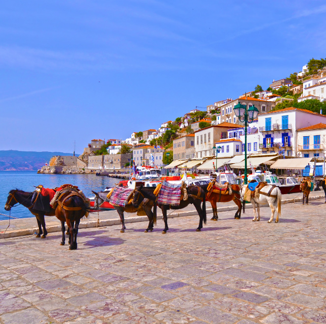 3, 4ήμερη Σχολική Εκδρομή Πόρτο Χέλι –Ύδρα –Σπέτσες –Ναύπλιο -Επίδαυρος -Μυκήνες